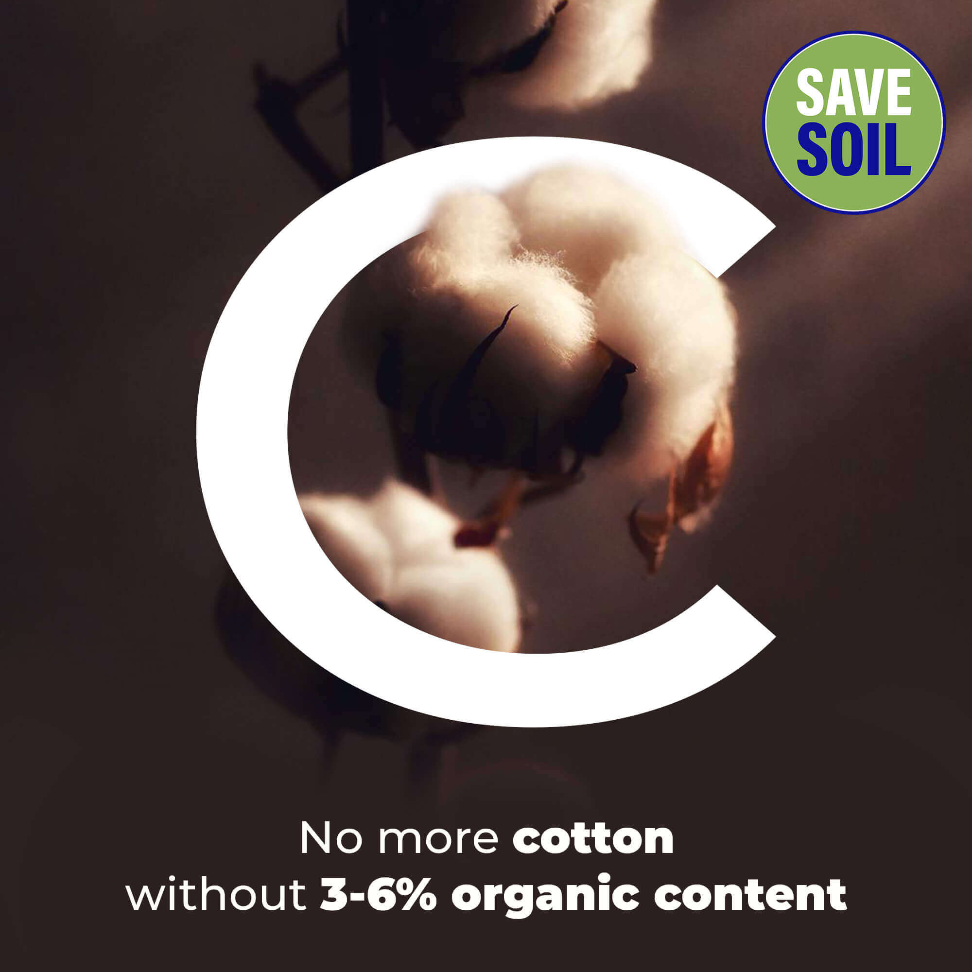 C Cotton