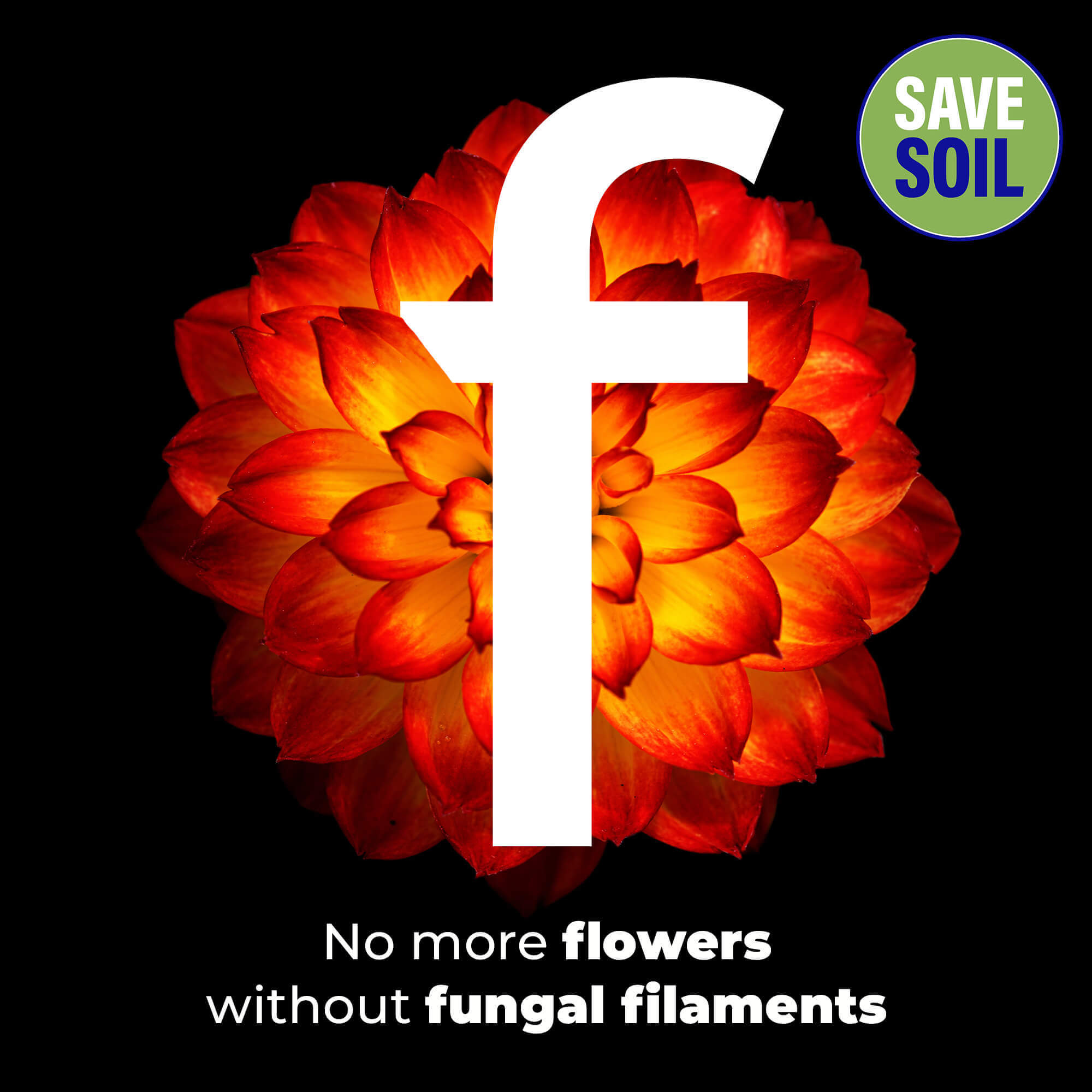 F flowers