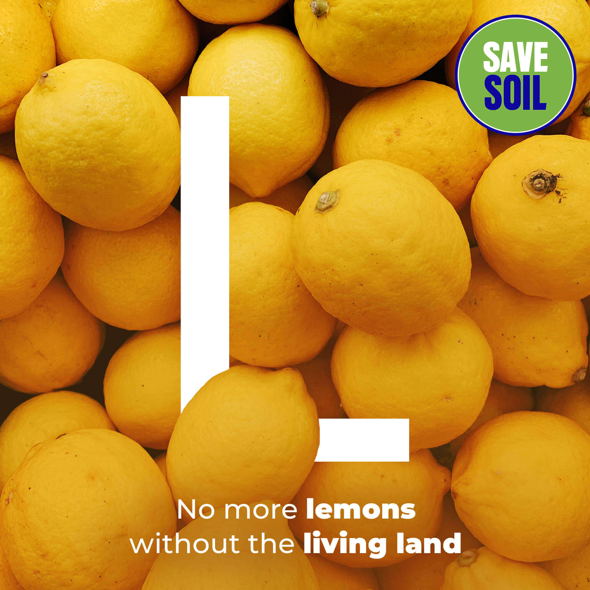 L Lemons