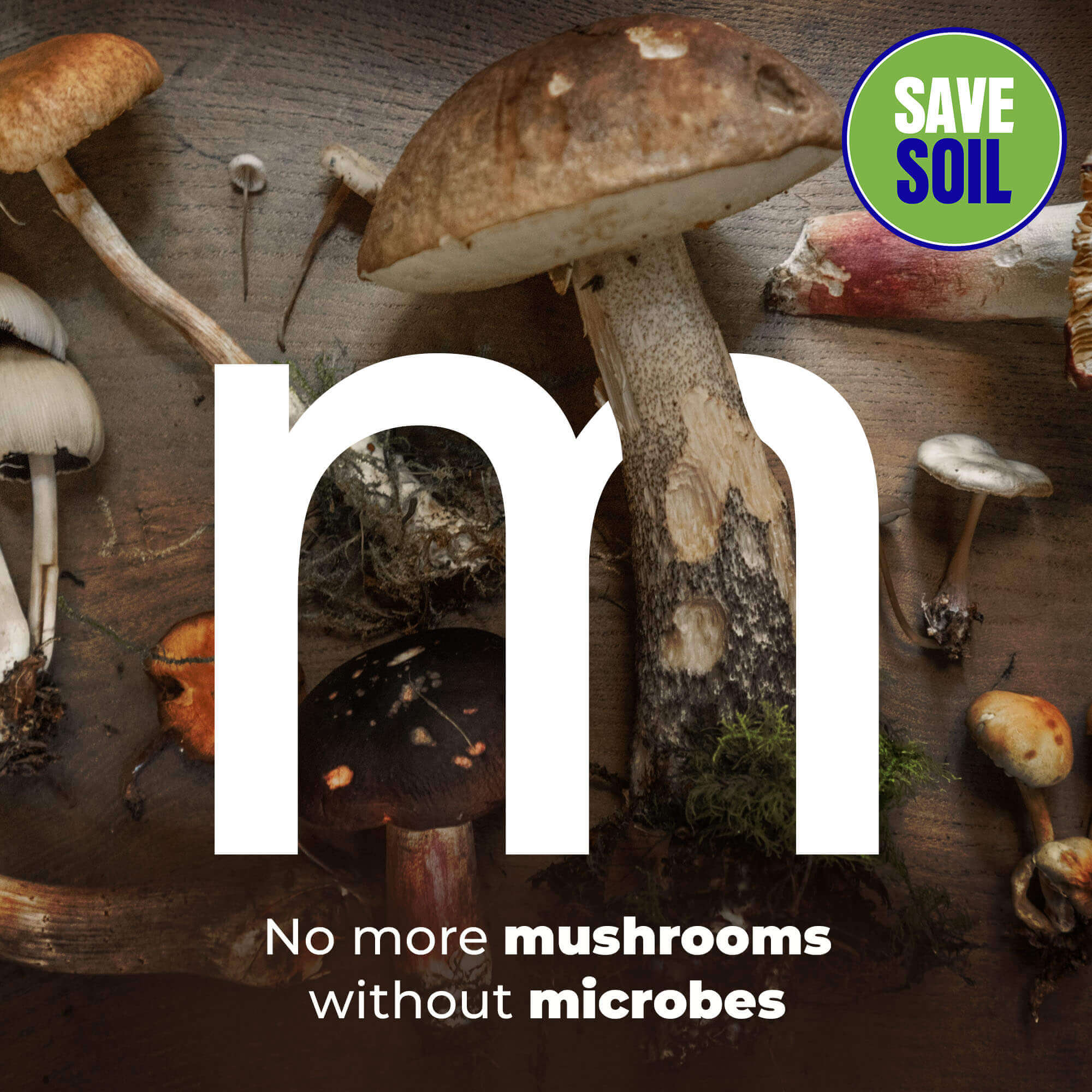 M Mushrooms