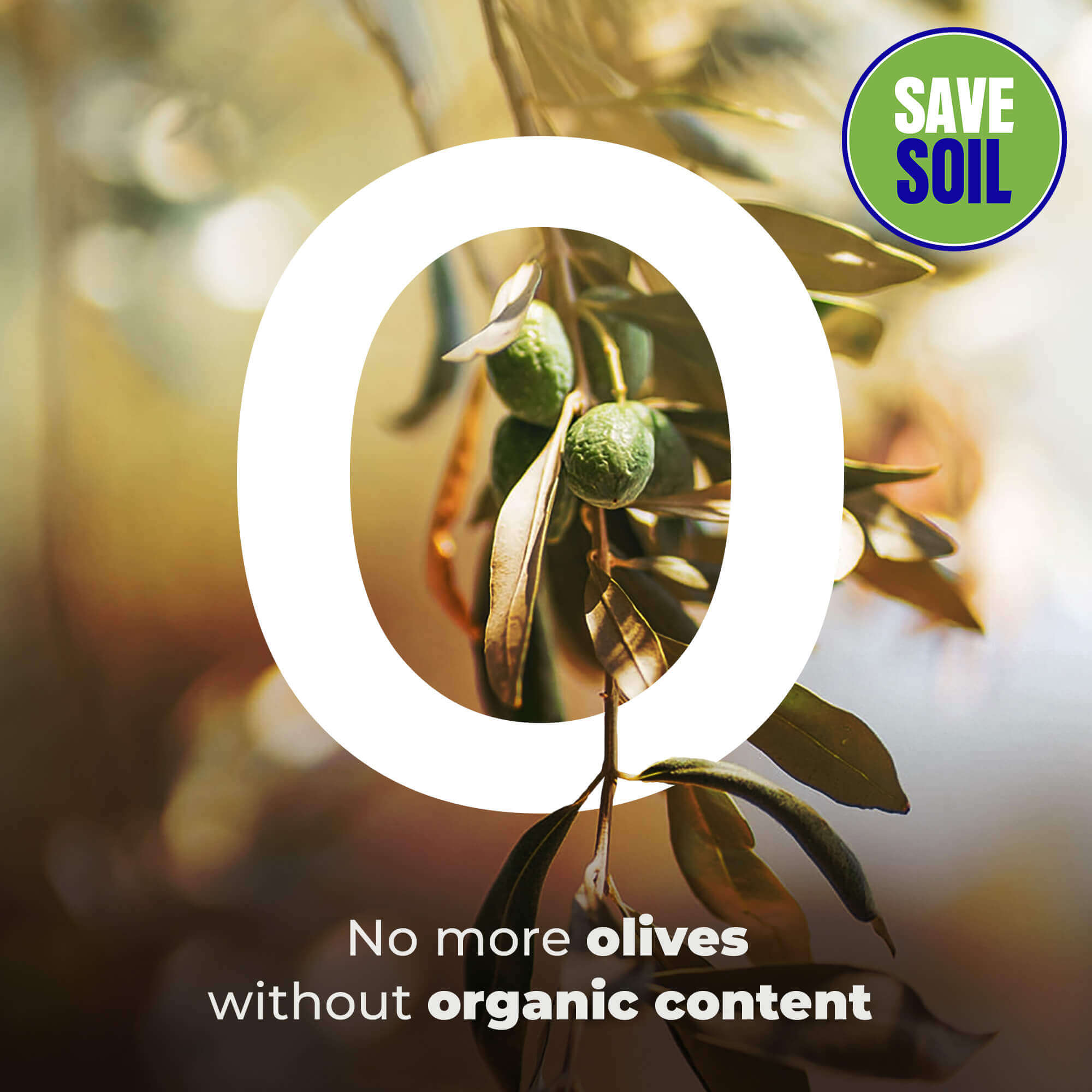 O Olives