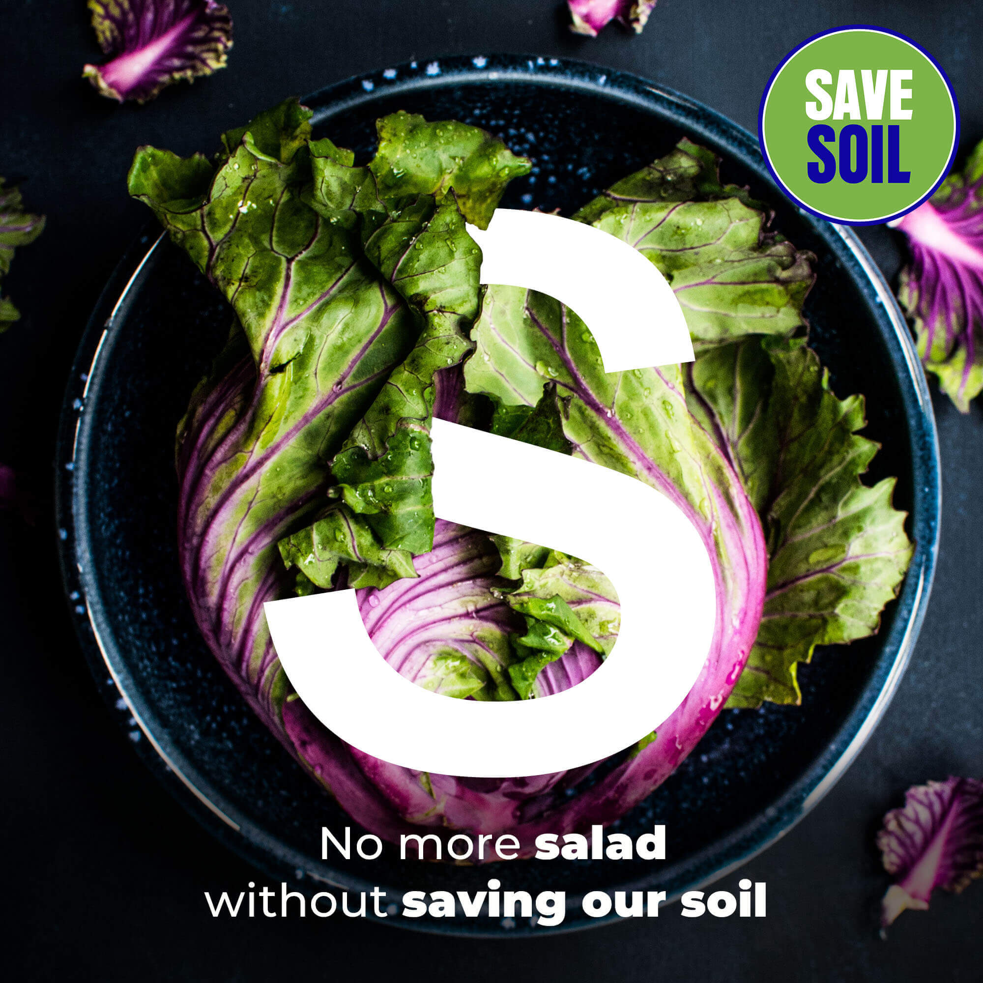 S Salad