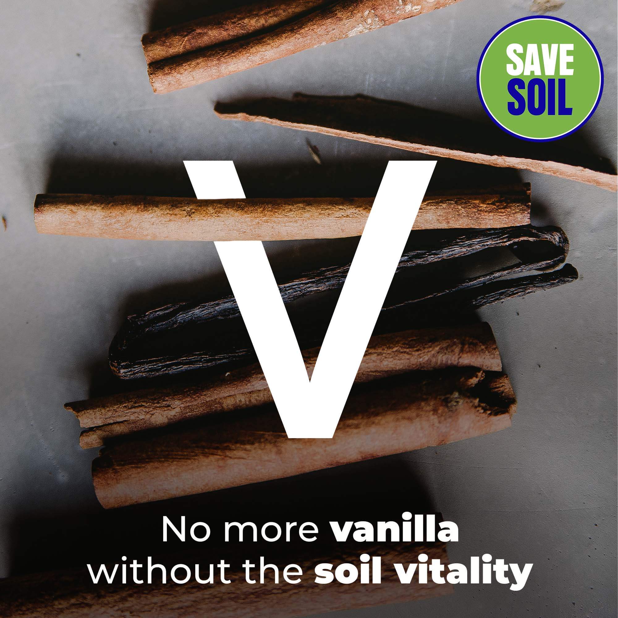 V Vanilla