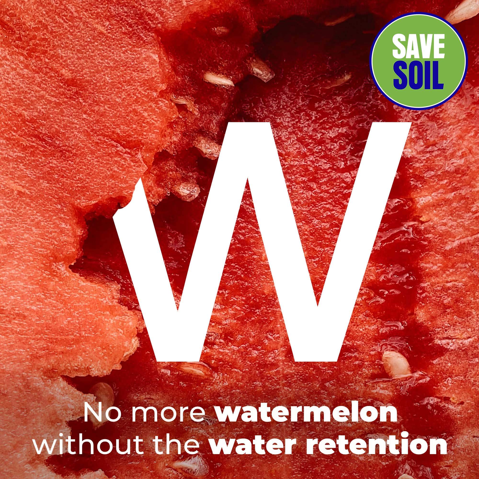 W Watermelon