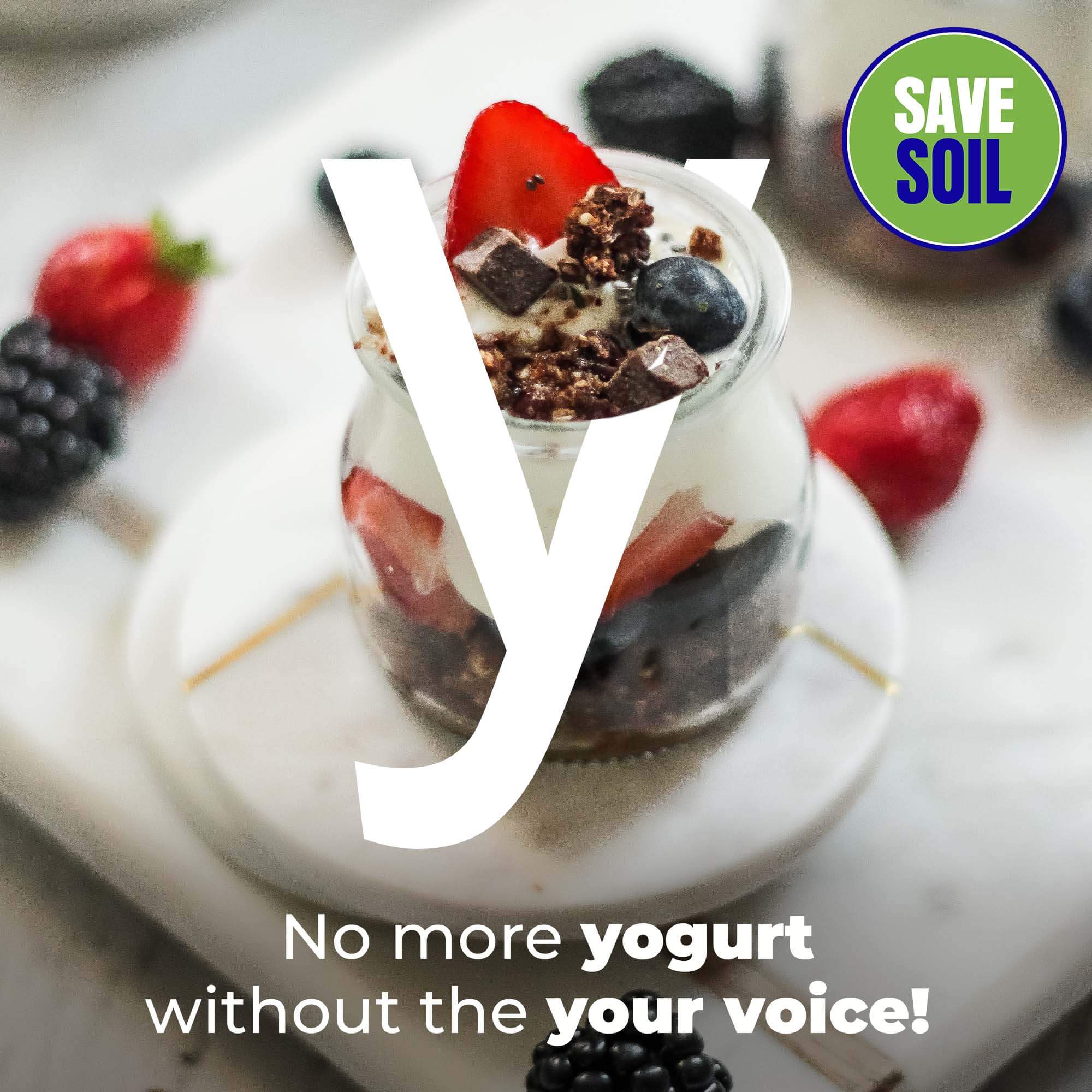 Y Yogurt