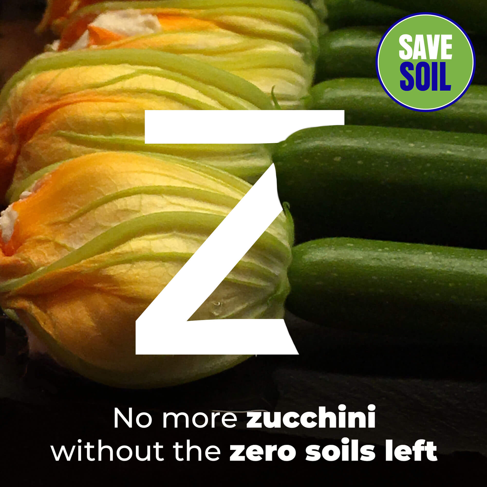 Z Zucchini